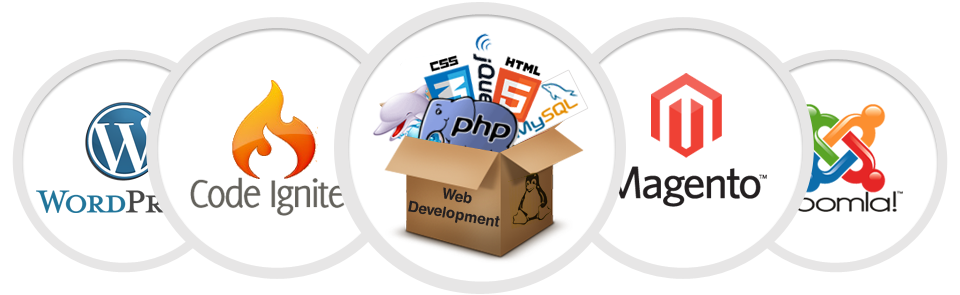 enterprise-web-application-development